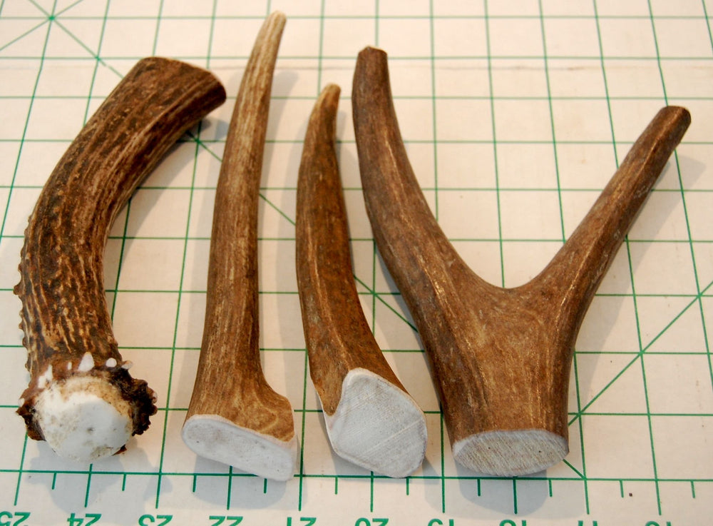 Big Dog Antler Chews natural minerals like calcium and zinc.