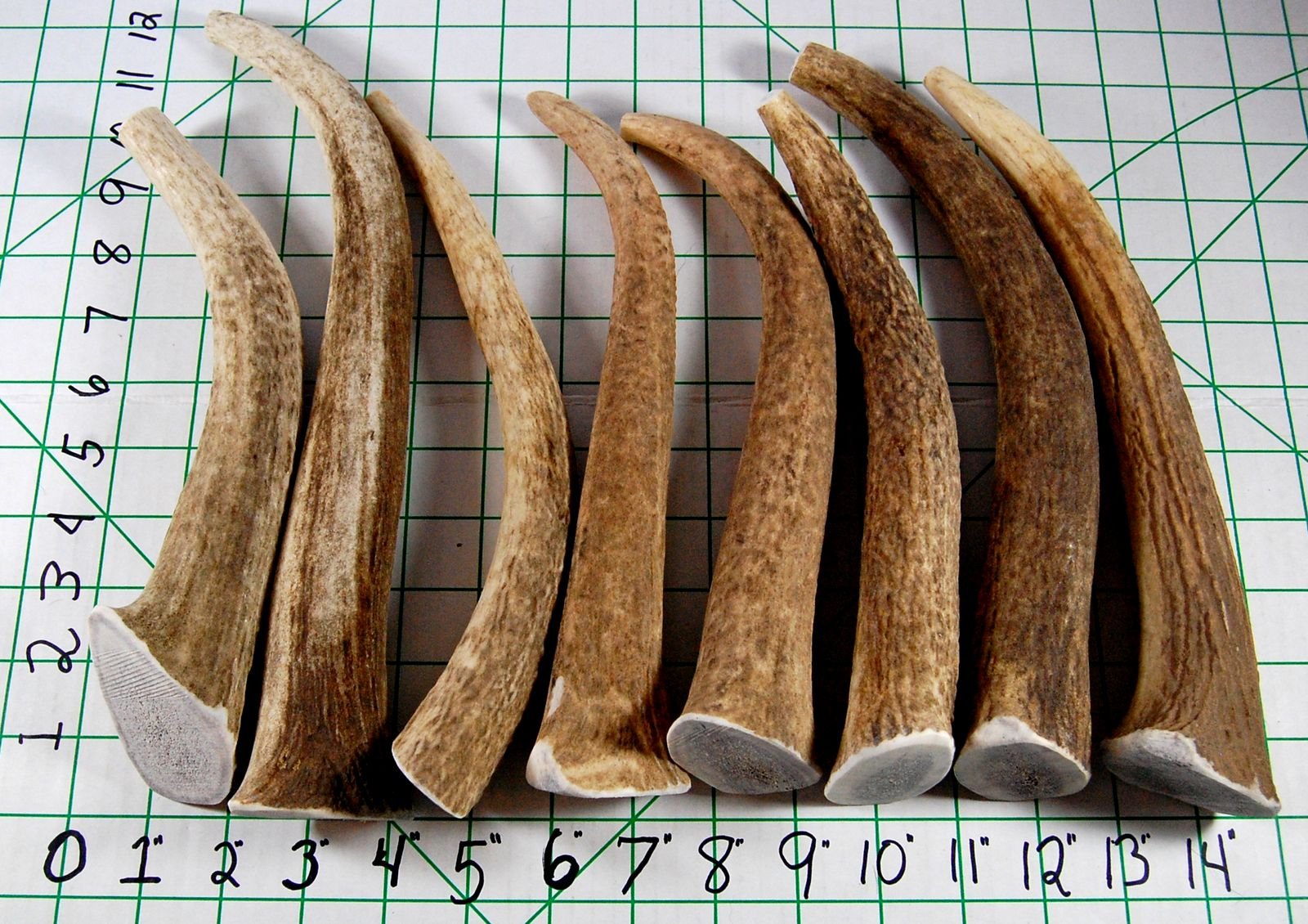 Big Dog Antler Chews natural-calcium-phosphorus-manganese-zinc content
