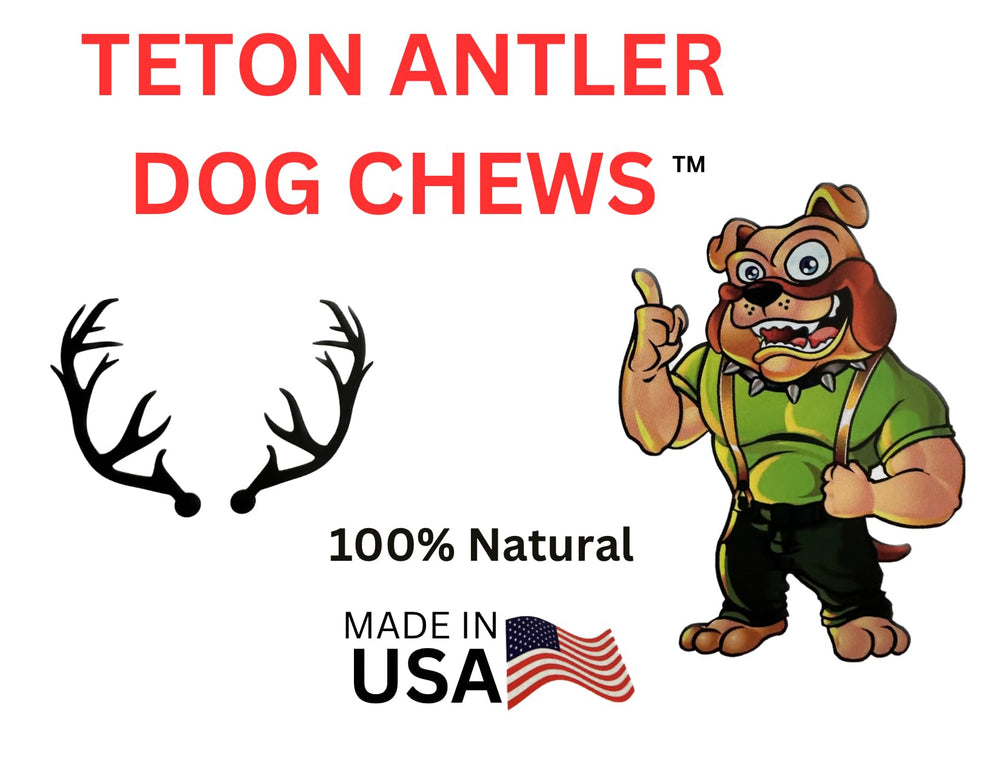Big Dog Antler Chews natural minerals support dental health and tartar control