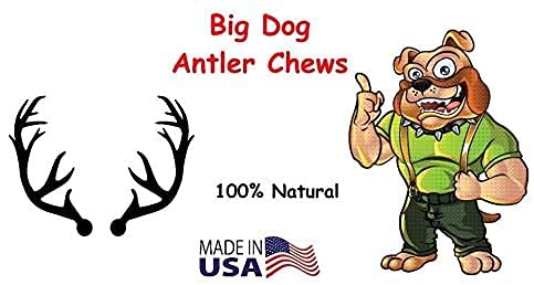 Wild deer and elk antlers used in Big Dog Chews, a natural option.