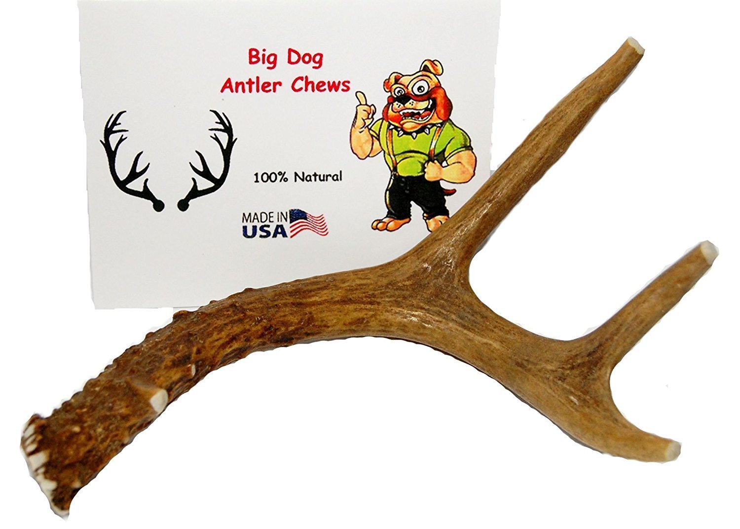 Big Dog Antler Chews: sanded edges to protect gums during indoor chewing.