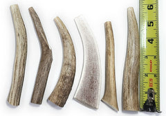 Big Dog Antler Chews six-pack packaging shows a durable, long-lasting small-dog chew.