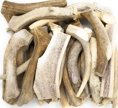 Big Dog Antler Chews sun-aged deer and elk pieces in a mixed pack for long-lasting chewing.