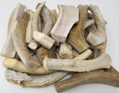 Big Dog Antler Chews 6-inch deer and elk pieces, washed and trimmed for easy handling.