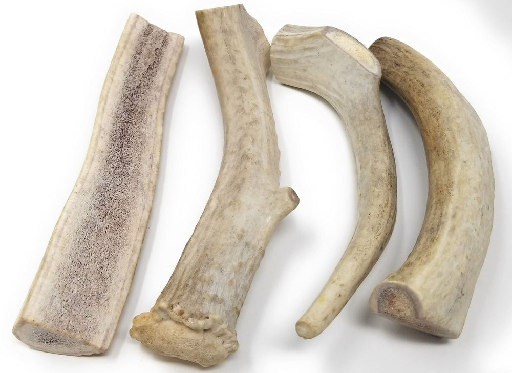 Big Dog Antler Chews B-Grade sun-bleached antlers with hairline cracks.
