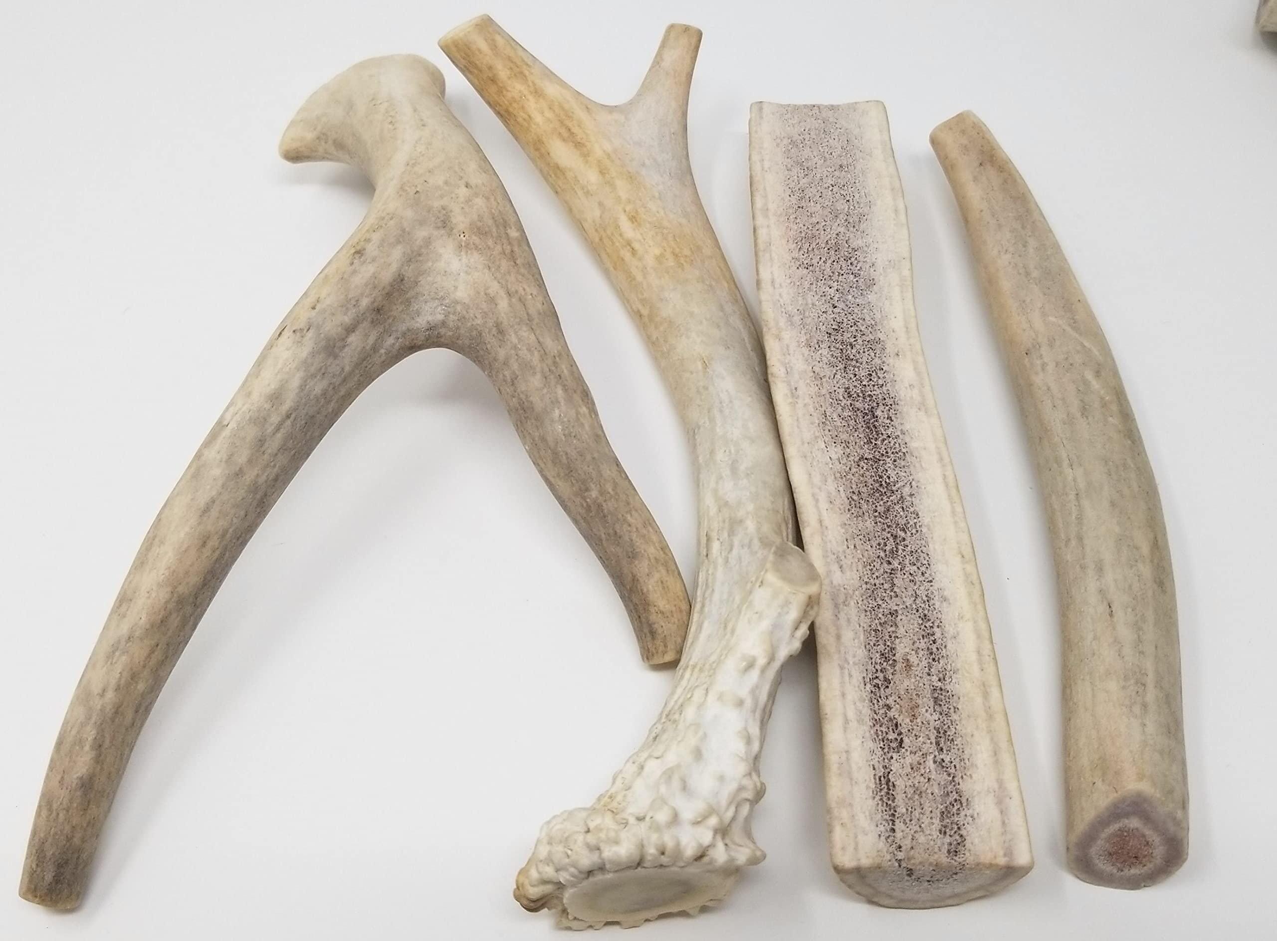 Big Dog Antler Chews natural calcium and minerals from wild antlers.