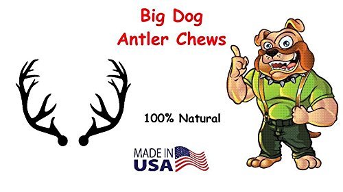 Big Dog Antler Chews: tartar-control-benefit; supports dental care through chewing.