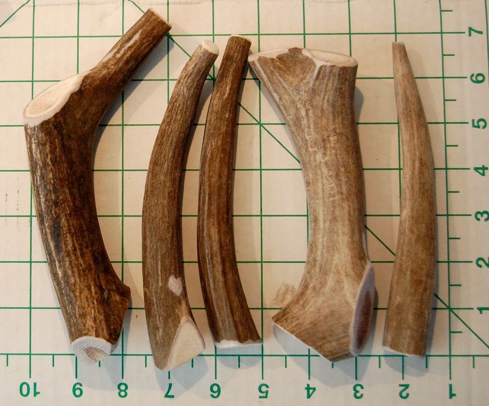 Big Dog Antler Chews tartar-control chew for dental care.