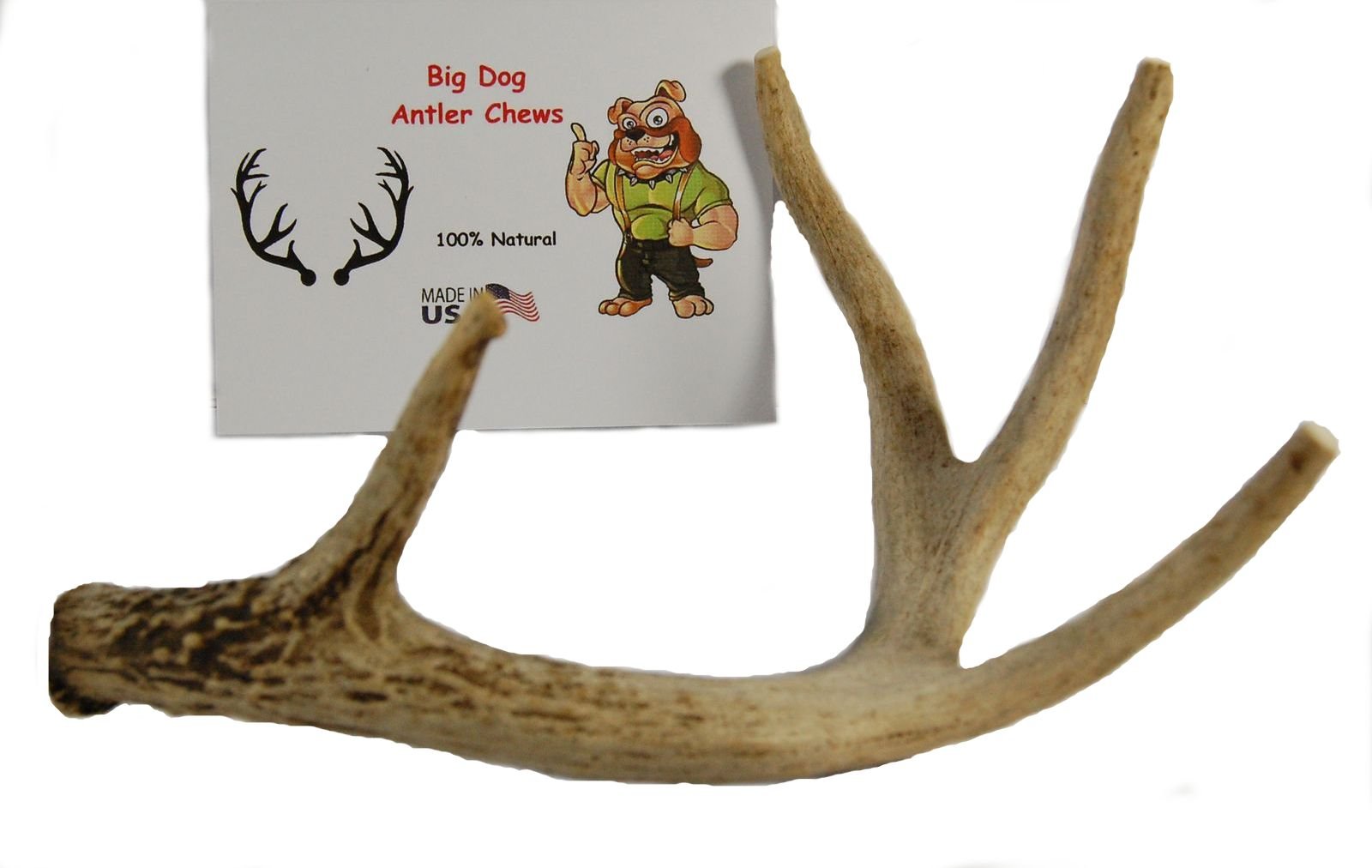 Big Dog Antler Chews whitetail-deer-antler-8-13-inch-long sanded edges safety