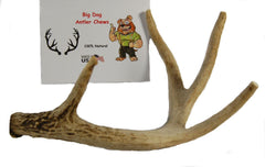 Big Dog Antler Chews whitetail-deer-antler-8-13-inch-long sanded edges safety