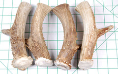 Big Dog Antler Chews wild deer origin emphasizes natural calcium minerals