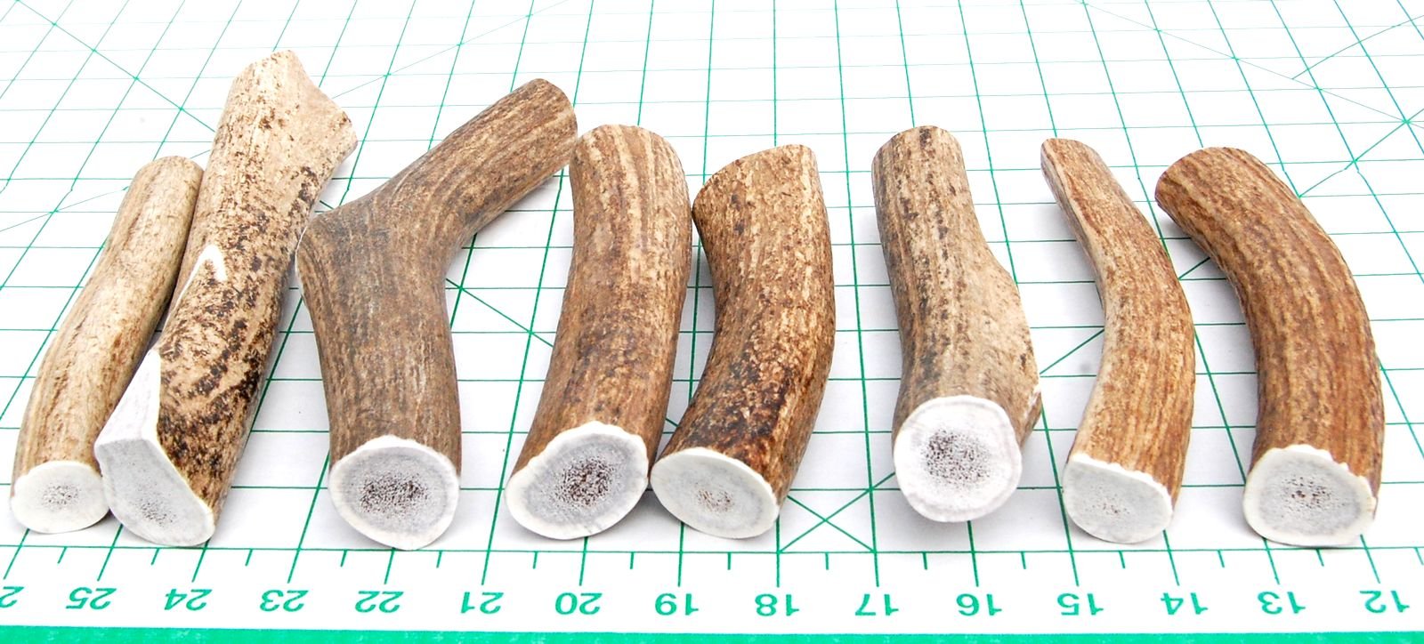Big Dog Antler Chews wild elk sourcing offers natural, steroid-free chews