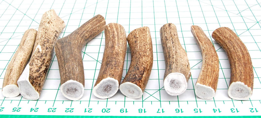 Big Dog Antler Chews wild elk sourcing offers natural, steroid-free chews