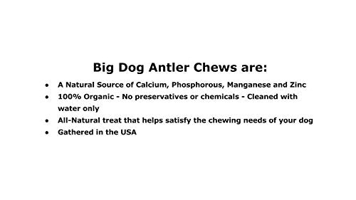 Big Dog Antler Chews XL natural-minerals deer antler—calcium, phosphorus, zinc support
