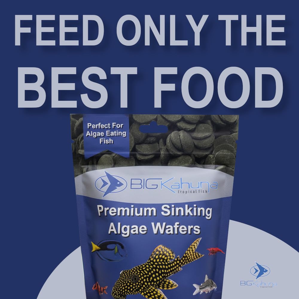 Big Kahuna Tropical Fish sinking wafer action supports bottom-dweller diets.