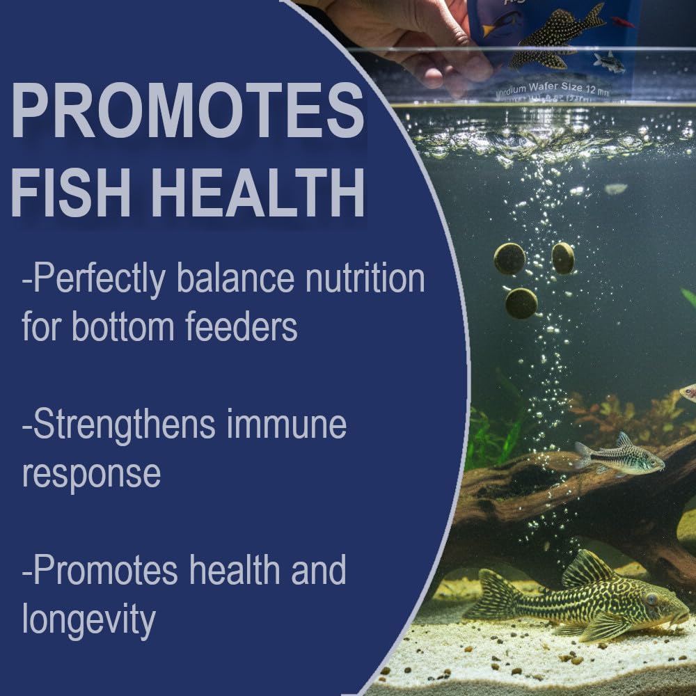 BIG KAHUNA TROPICAL FISH snail-friendly formula—image highlighting compatible aquarium companions.