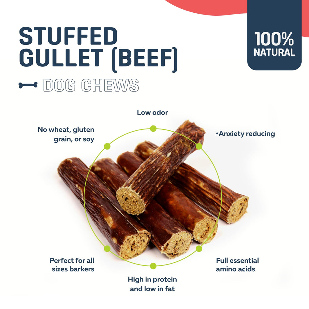 Big Lu 6-inch stuffed beef jerky stick in-action captures dogs enjoying a long chew
