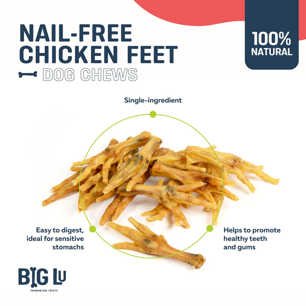 Big Lu chicken feet 100-count bag demonstrates value for multi-dog households.