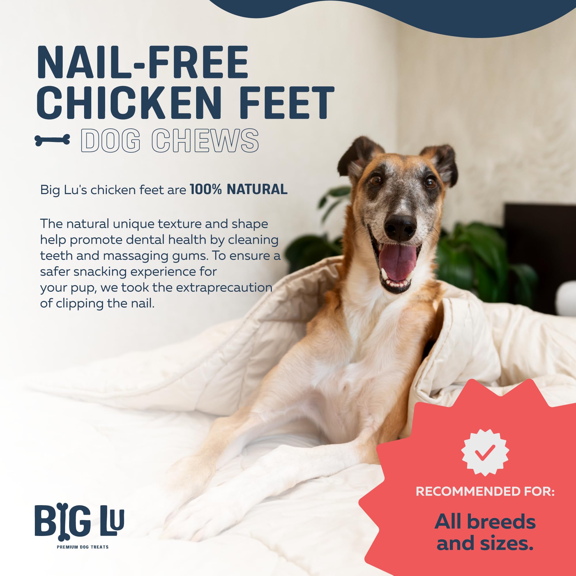 Big Lu chicken feet dental benefits hint at tartar reduction potential.