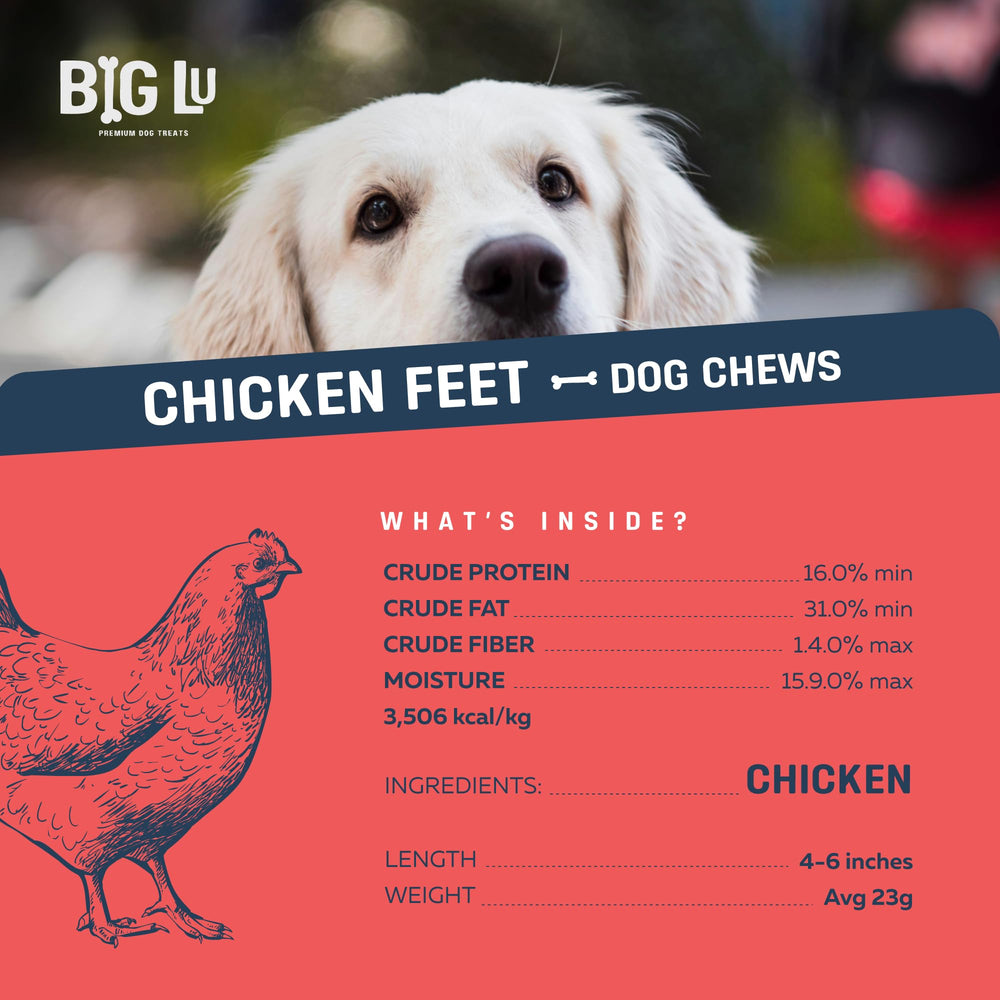 Big Lu chicken feet image suggests joint health support for active dogs.