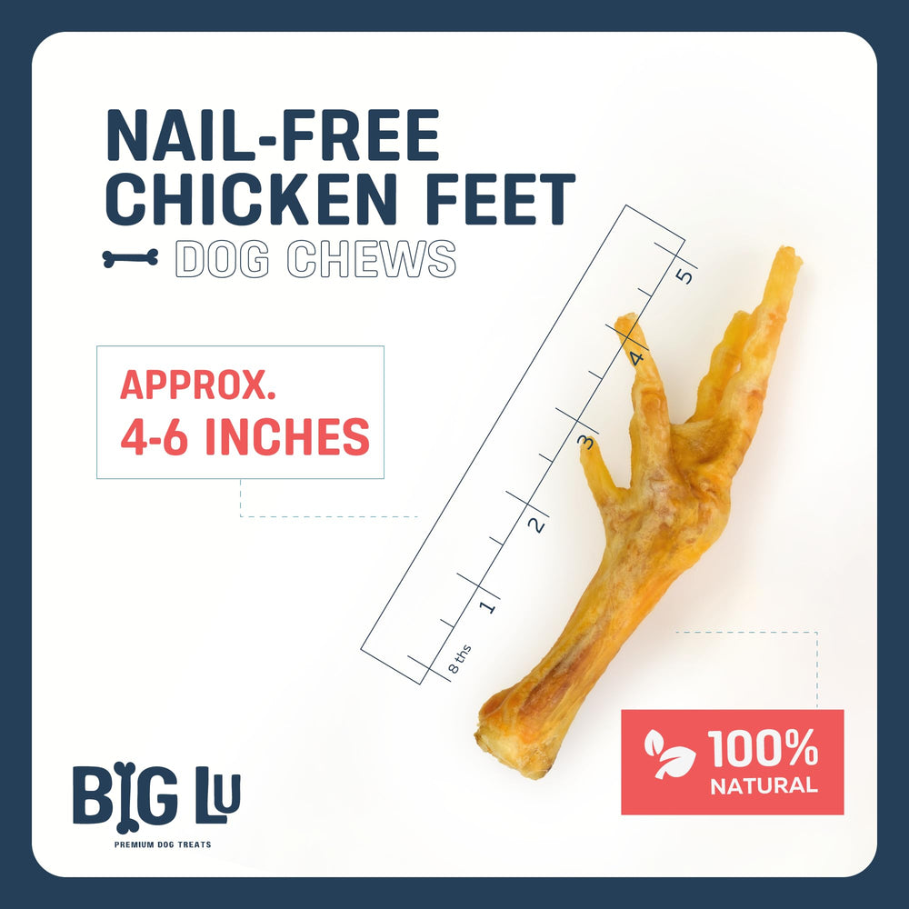 Big Lu chicken feet long-lasting chew aids engagement during playtime.