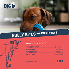 Big Lu dog chewing on a thick stick, ideal for heavy chewers