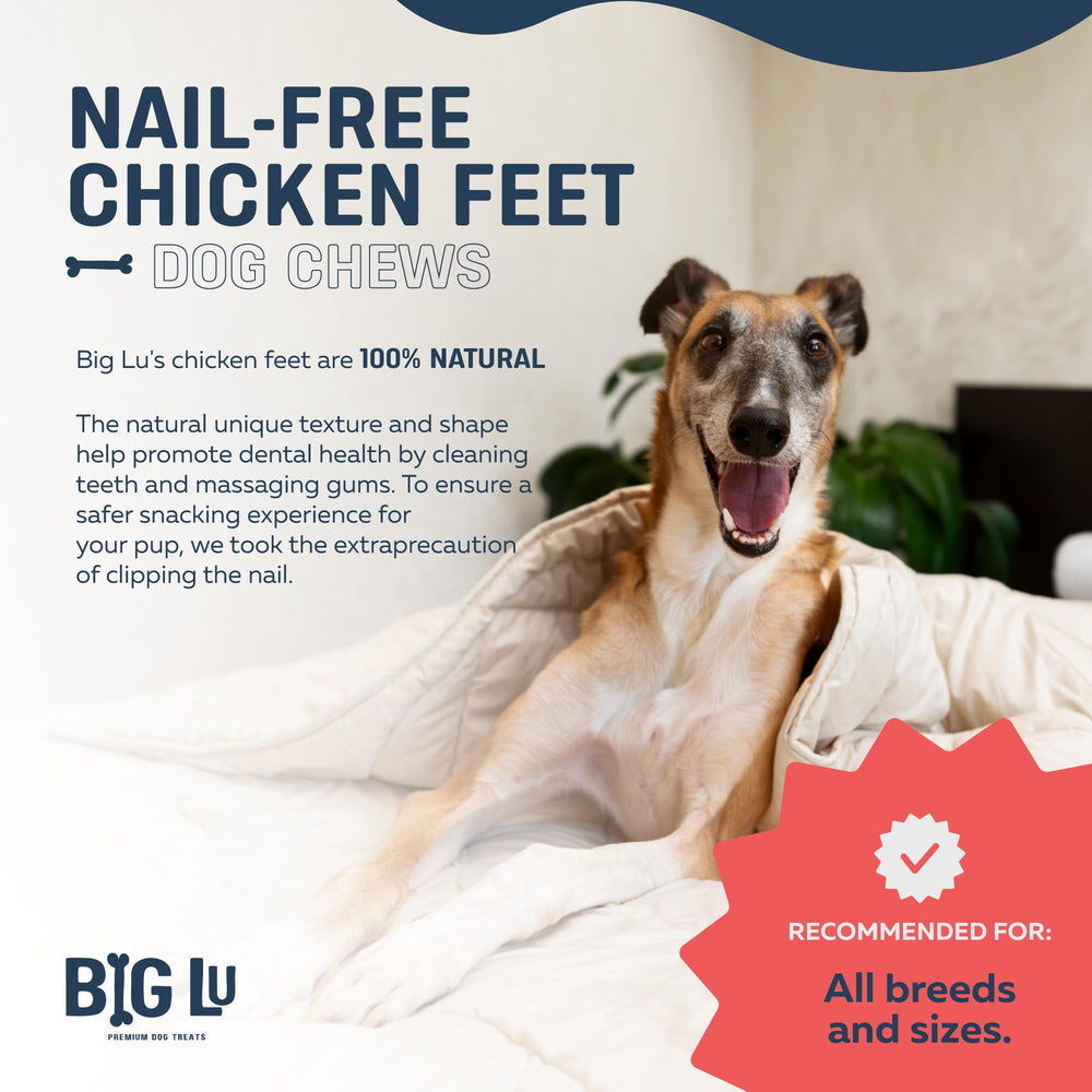 Big Lu dog chews rawhide-free label, safer alternative for dogs during chewing.