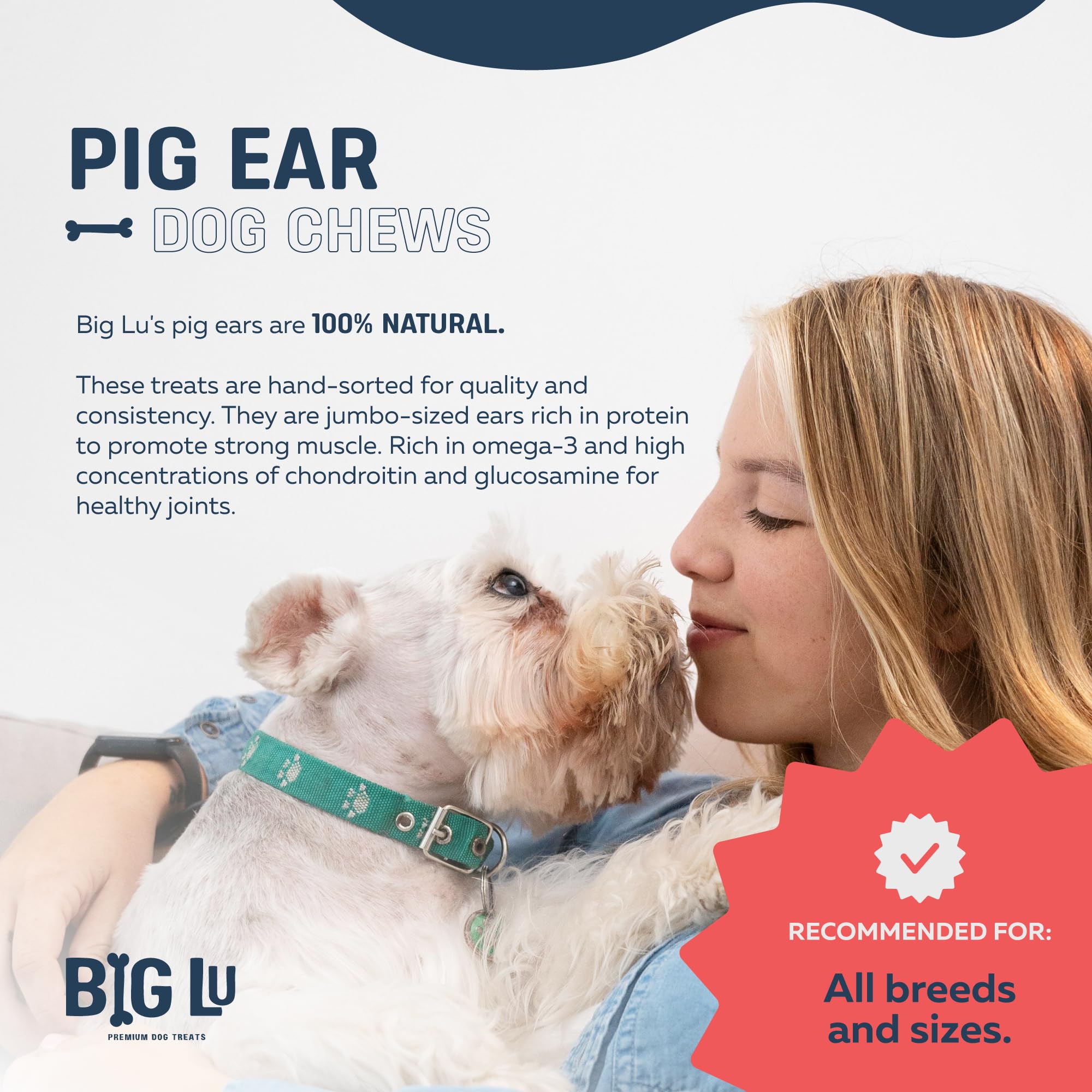 Big Lu Pig Ears dog treats in bowl demonstrate long-lasting chewy indulgence for medium and large dogs