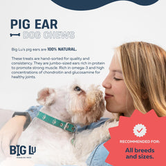 Big Lu Pig Ears dog treats in bowl demonstrate long-lasting chewy indulgence for medium and large dogs