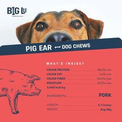 Big Lu Pig Ears dogs enjoying treat showcases natural flavor and single-ingredient simplicity