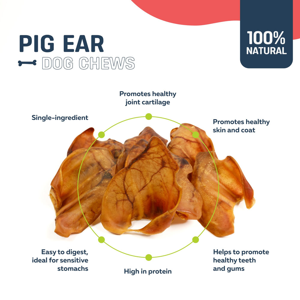 Big Lu Pig Ears glucosamine chondroitin image suggests joint-support potential for active dogs