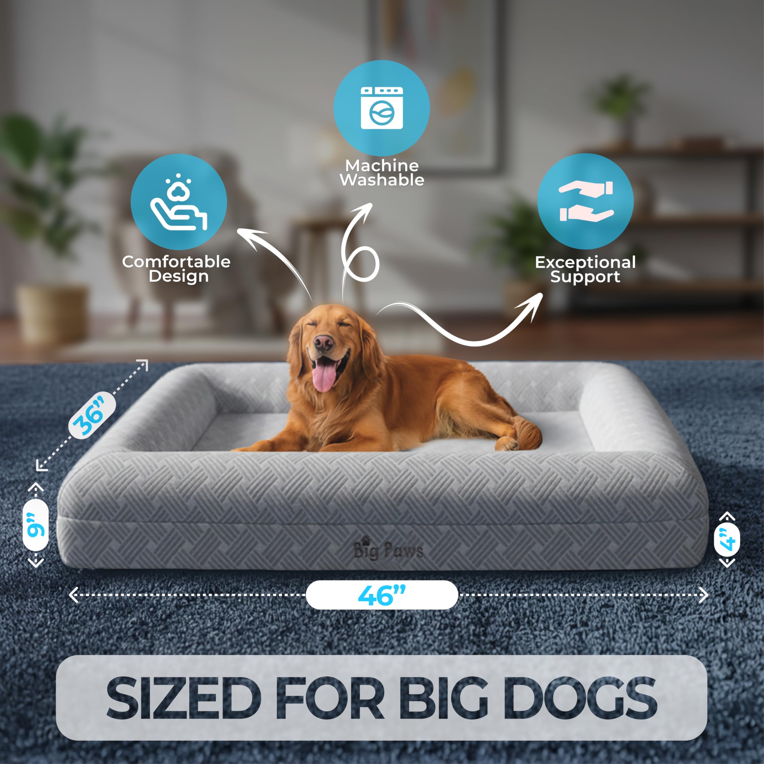 Big Paws four raised bolsters support head and neck