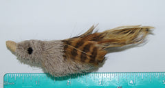 Big Sky Cats House Finch refill close-up shows natural dye-free materials for safe play