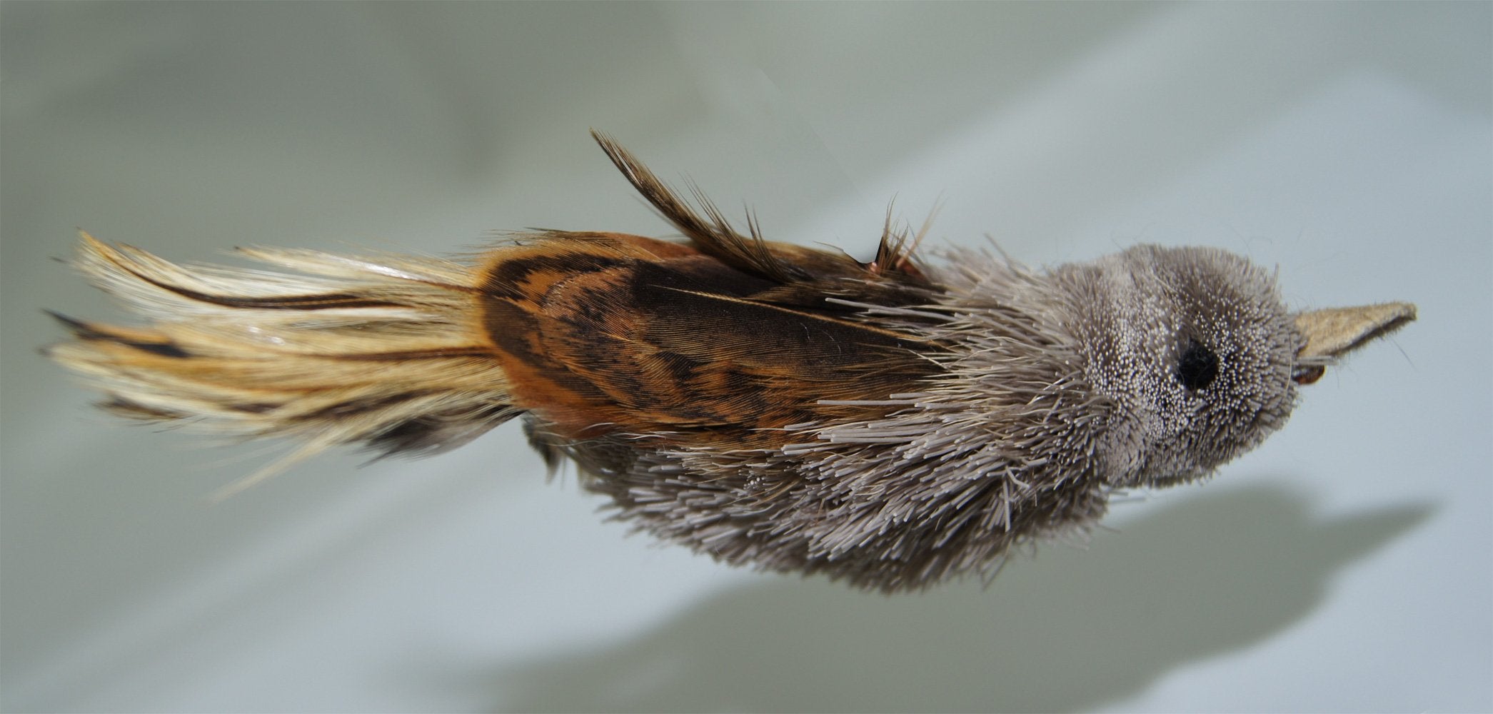 Big Sky Cats House Finch refill on wand attachment stimulates hunting instincts