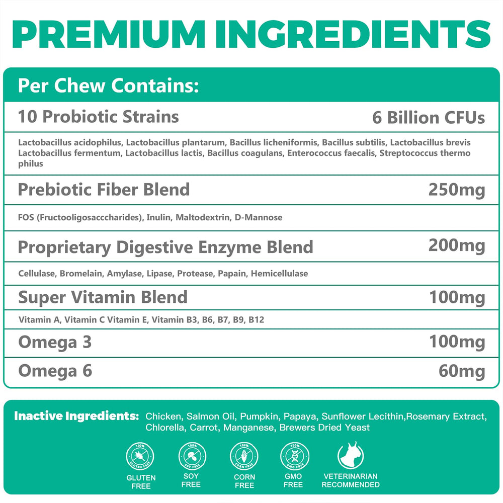 BIGHERO Probiotics for Dogs bottle-label shows probiotic strains for gut balance.
