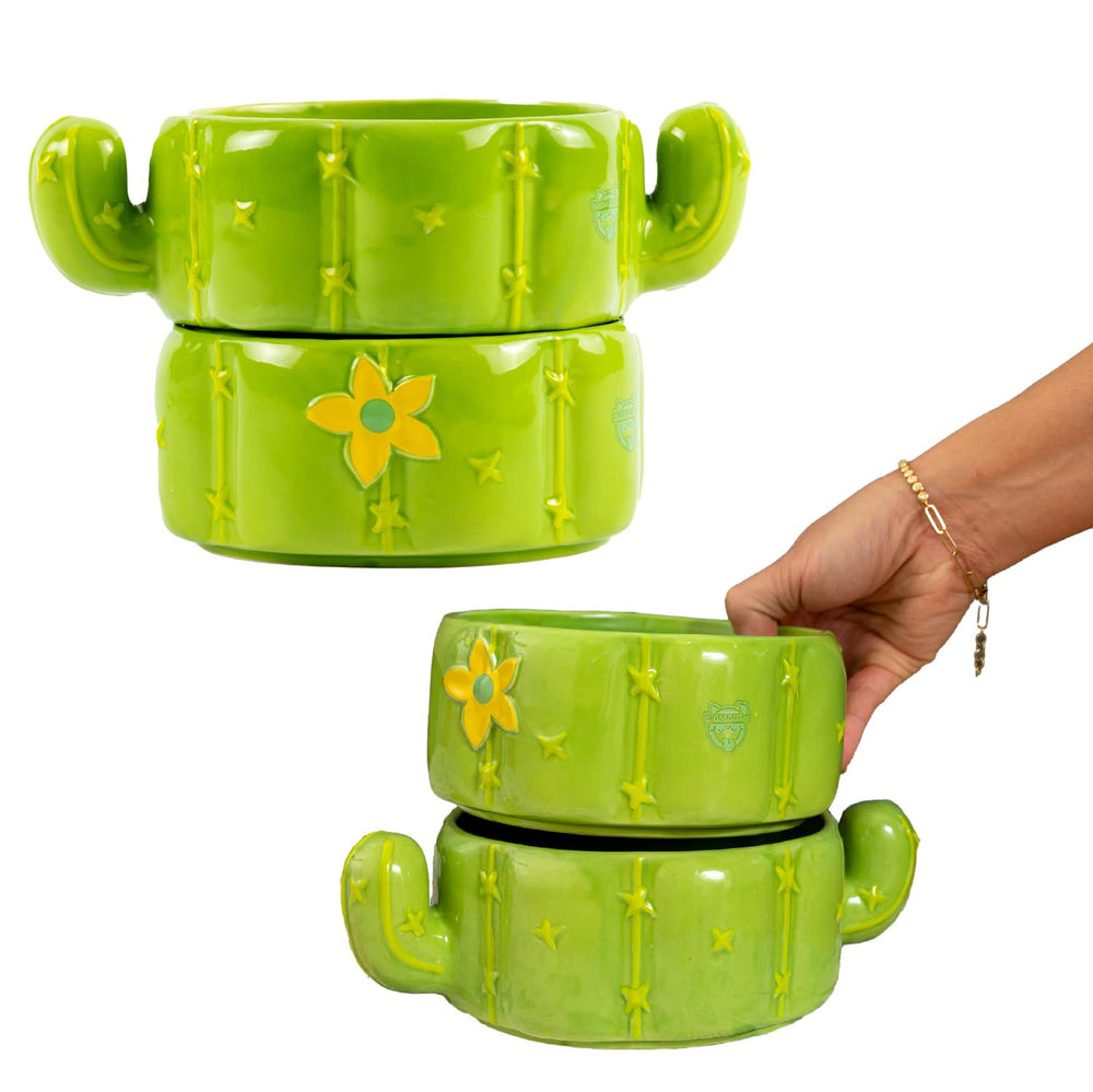 BigMouth Inc cactus pet bowl front view adds playful mealtime charm for cats and dogs