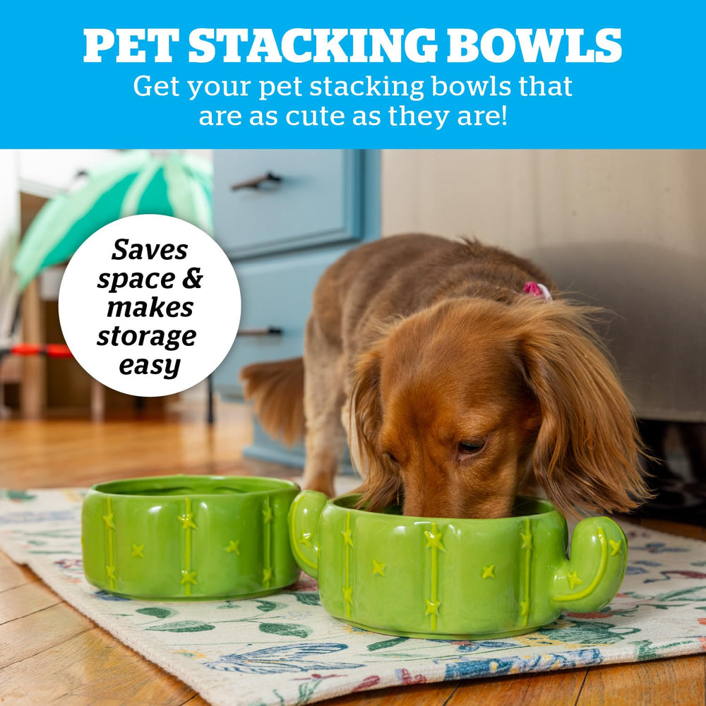 BigMouth Inc cactus pet bowl inside view with ceramic surface and stainless steel insert for easy cleaning