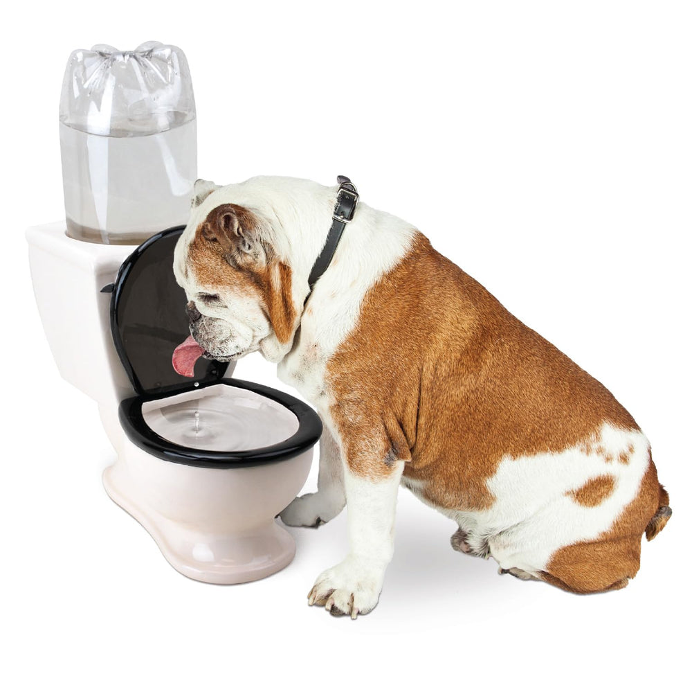 BigMouth Inc toilet water dish for pets ceramic throne invites playful hydration for dogs and cats.