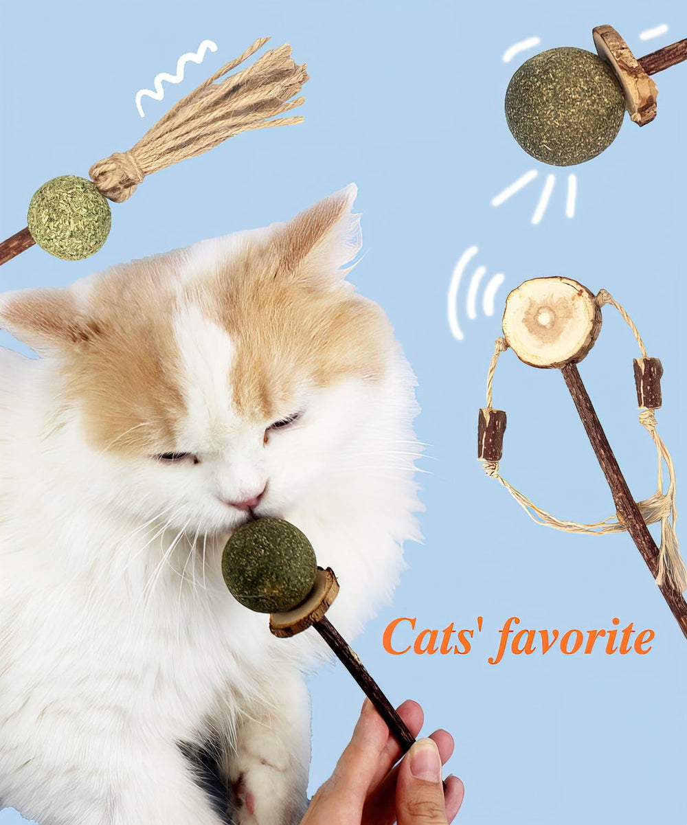 Bigpomelos distract-during-play-furniture-chewing shows potential behavior redirect.