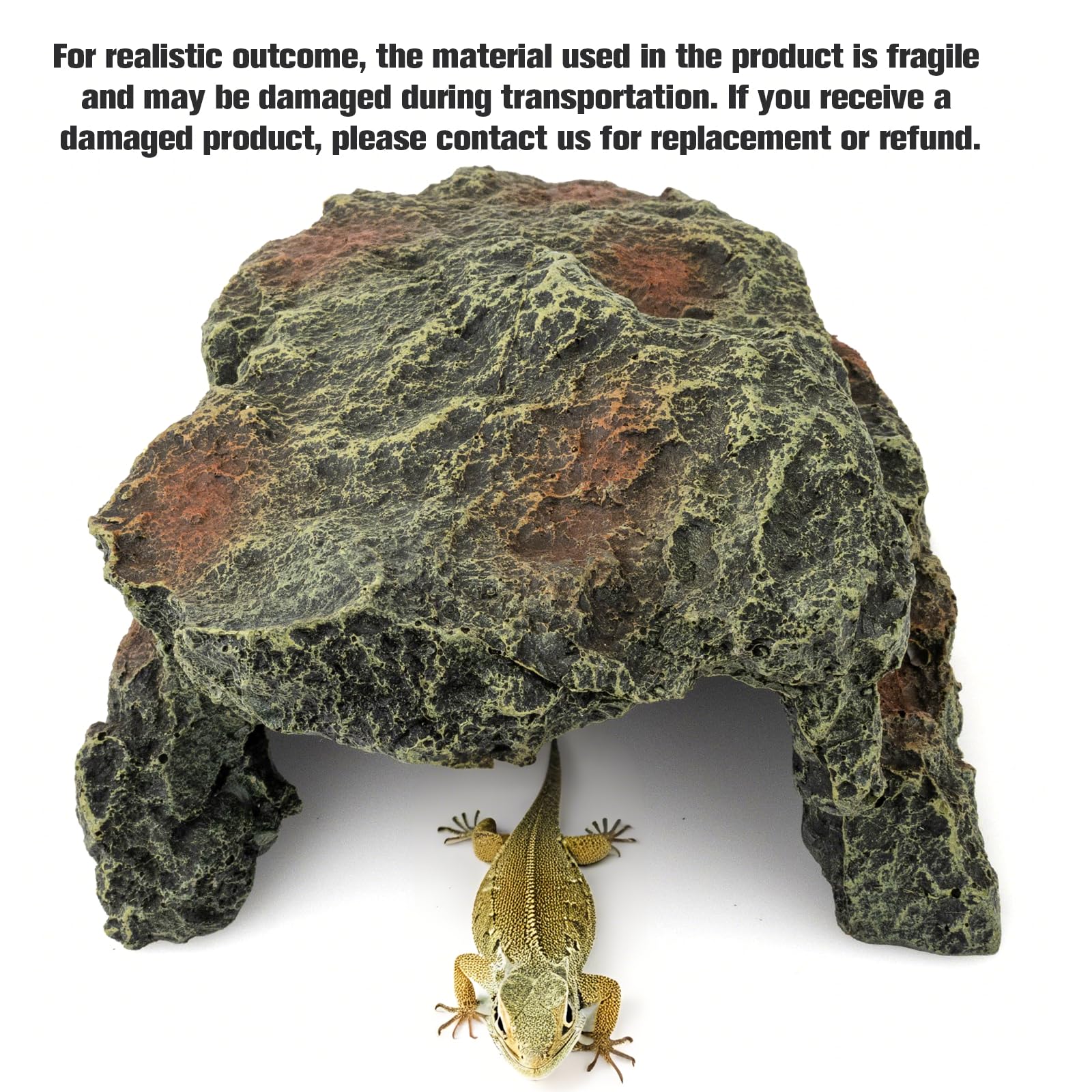 BIGWE resin turtle hideout dimensions highlight outer and inner sizes for fit.