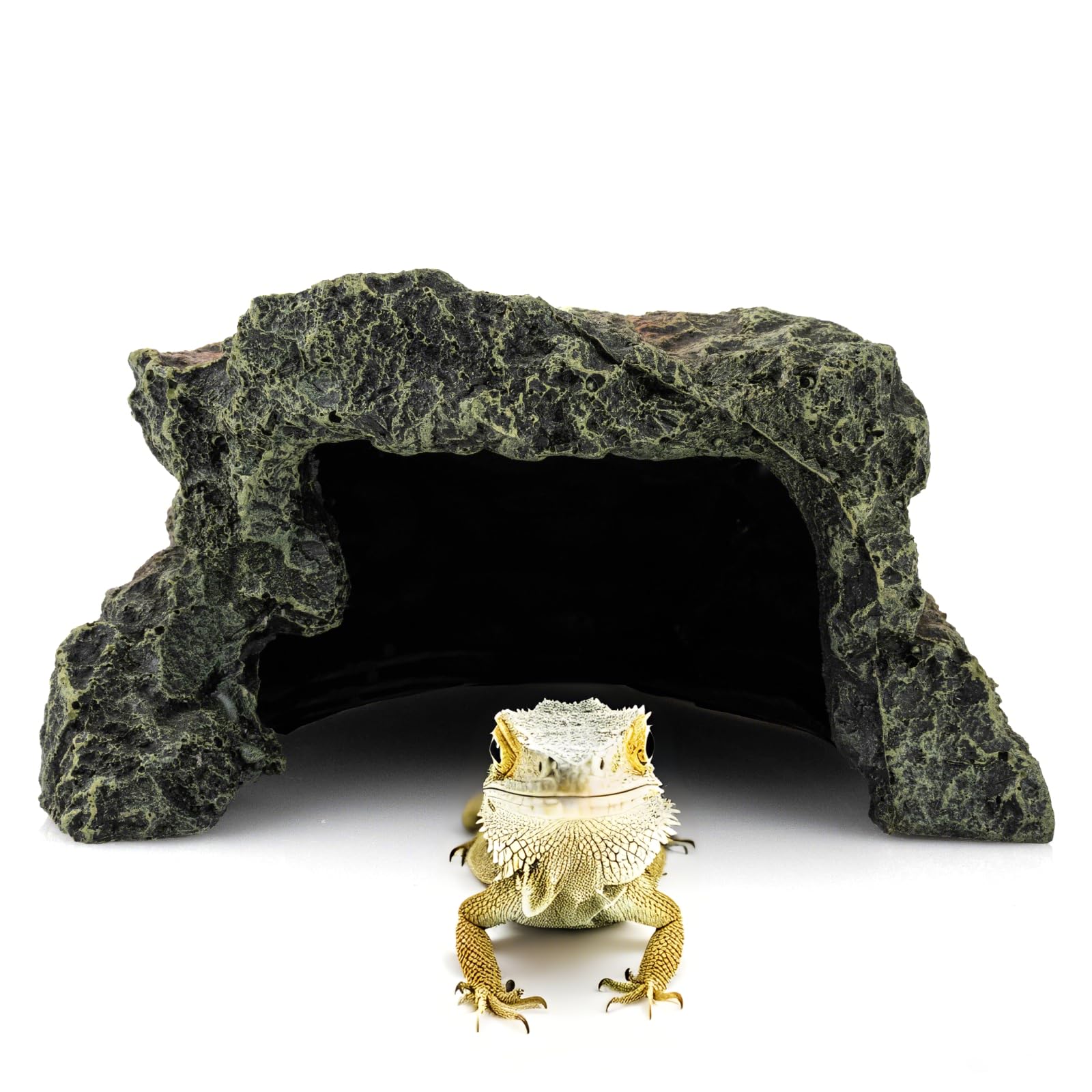 BIGWE resin turtle hideout front view enhances naturalistic terrarium ambiance.