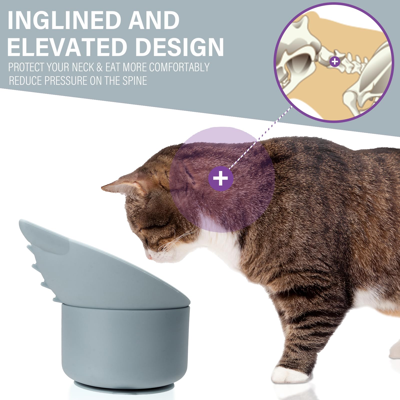 Bikabpet elevated tilted bowl supports neck comfort during meals