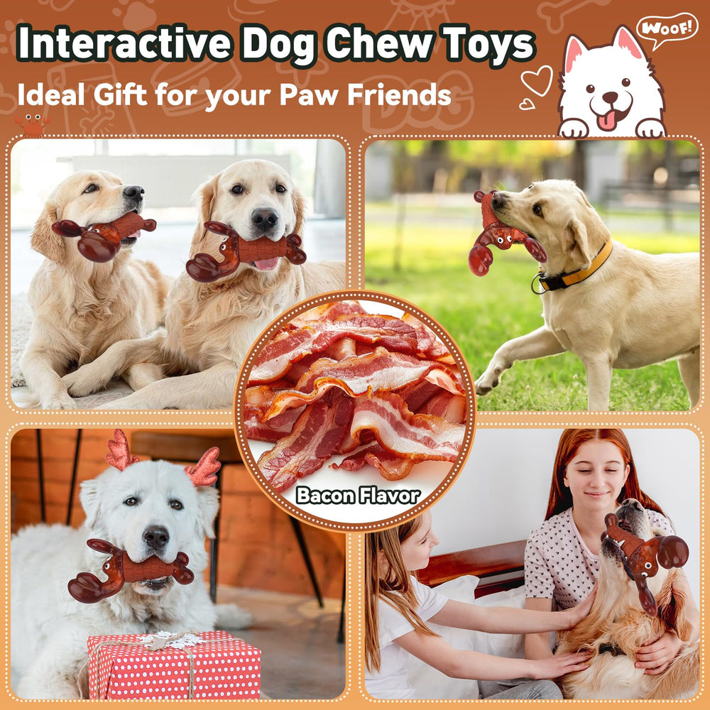 BIKIISEN Dog chew toys tips graphic showing safety and care guidance