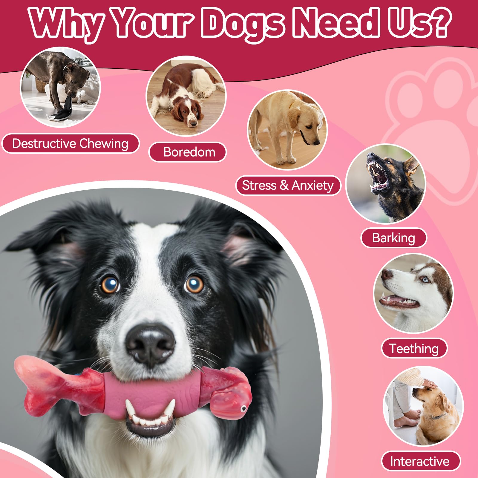 BIKIISEN Dog Toy chew action captures squeaker engagement for focused play