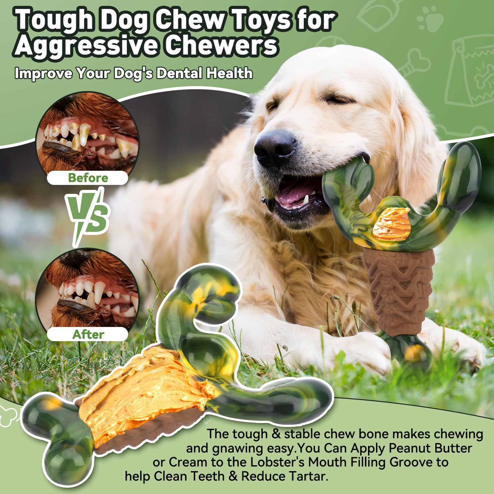 BIKIISEN Interactive squeaker engages dogs during playtime