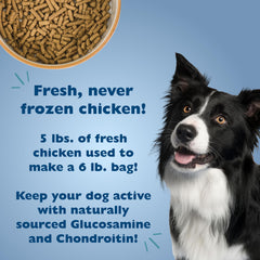 Bil-Jac Picky No More fresh chicken-first ingredient implies high-quality protein for lean muscle.