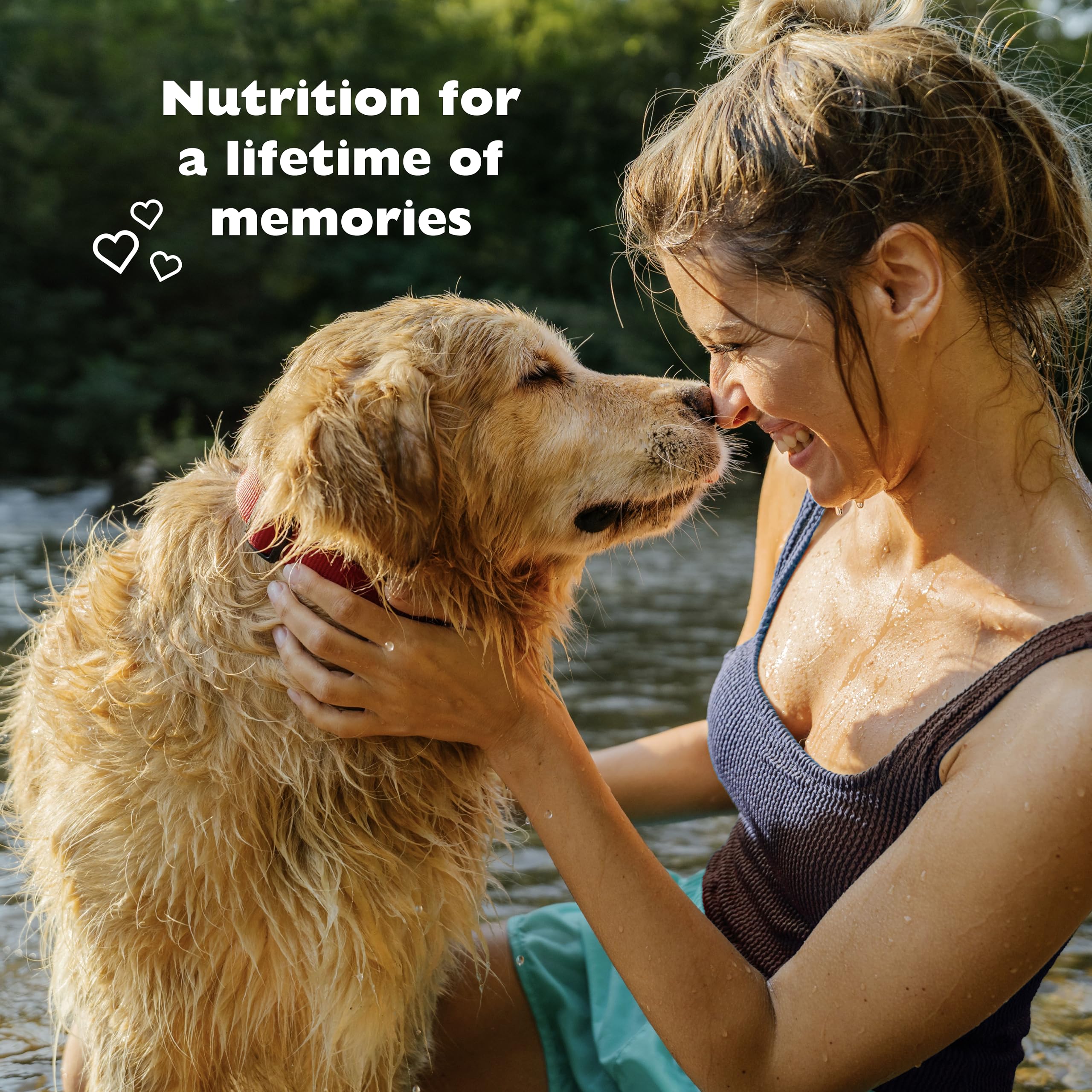 Bil-Jac Picky No More omega-3-6 coat health closeup suggests healthier skin and shine.