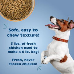 Bil-Jac Real Chicken Liver image highlights premium protein and flavor appeal.