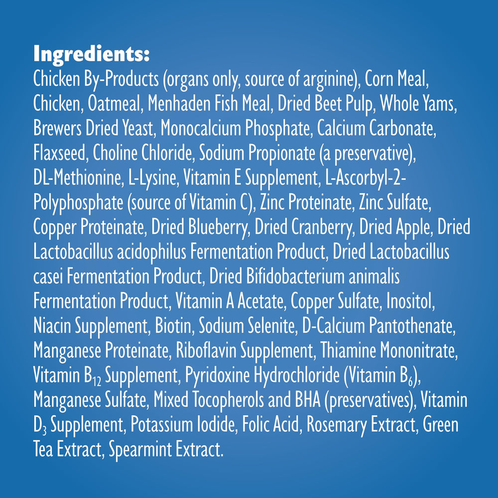 Bil-Jac small-breed senior label closeup highlights slow-cooked, gentle-dried processing.