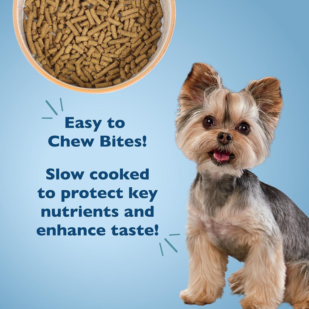 Bil-Jac senior-dog-food-bowl image shows portion-ready feeding moment for seniors.